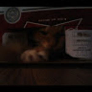 Meet your Posher, Kevin